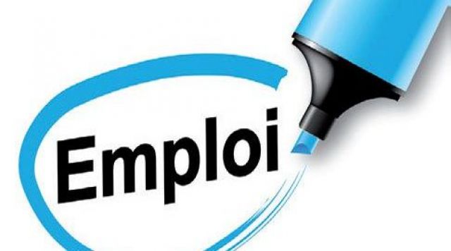 Cambrésis Emploi : Offres d'emploi semaine N° 41 - Octobre 2022 ...