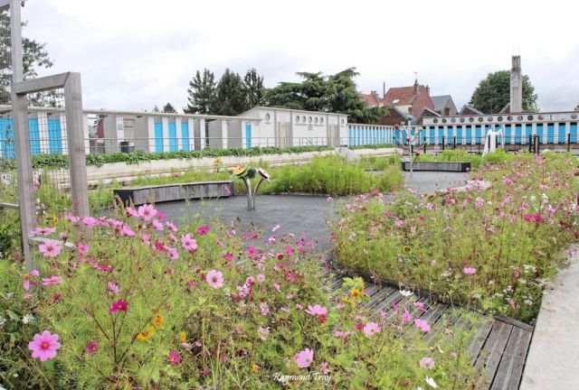 Atelier participatif de plantation