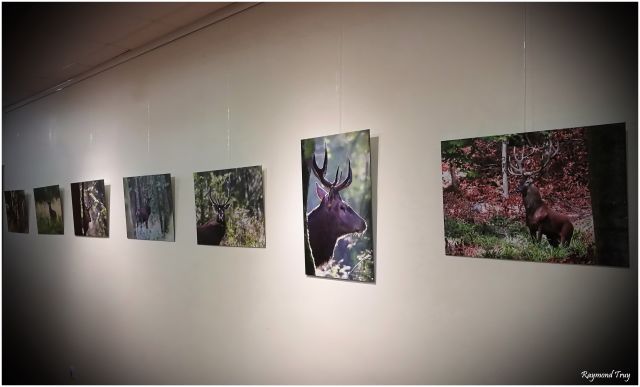 l'AL Photo-club Caudry accueille une exposition photo de l'association "OBJECTIF MORMAL" 