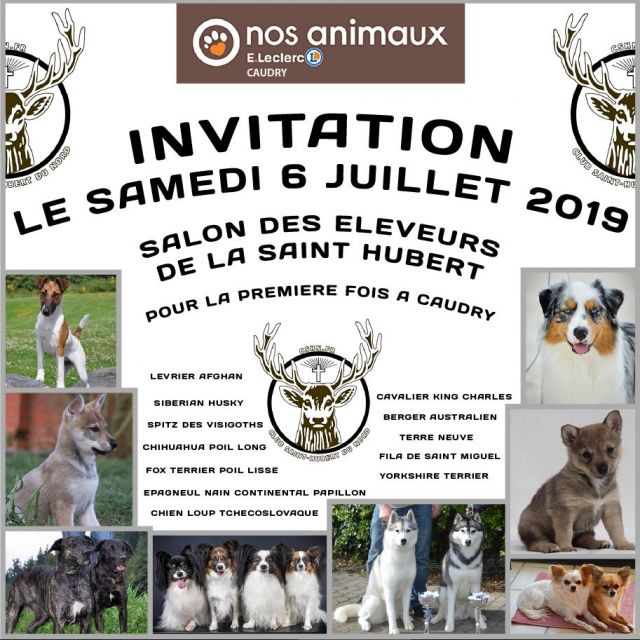 Pour la première fois à Caudry - Le salon des éleveurs de la saint Hubert du Nord !