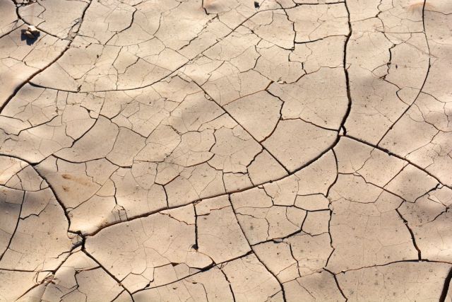 Publication Arrêtés - Calamité agricole sécheresse 2022 sur haricots secs - Ouverture de la télédéclaration le 23 juillet 2023