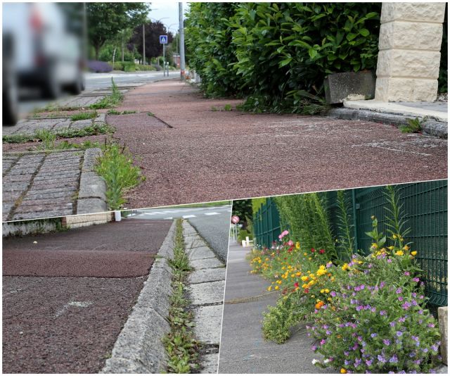 Rappel concernant l’entretien des trottoirs ...