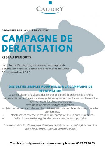 Campagne de dératisation sur caudry