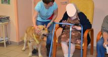 Chiens et Chats du Sourire