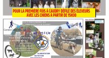 Le salon des éleveurs