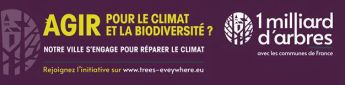 Matinée participative de plantations Ilot forestier du Val du Riot