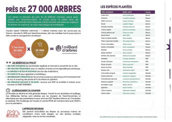 Matinée participative de plantations Ilot forestier du Val du Riot